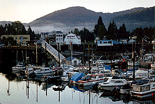 Photo of Petersburg harbor